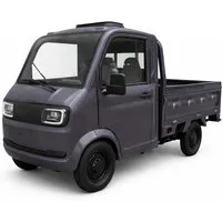Urban Hopper E-Motorroller Elektro Kabinenroller Lastenrad Mini-LKW Urban Hopper Pickup Twin, 3000 W, 40 km/h, Twin Für 2 Personen, mit Pritsche, Reichweite 70km Blei-Gel-Akku COC