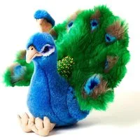 Uni-Toys Kuscheltier Pfau - verschiedene Größen - Plüsch-Vogel - Plüschtier, zu 100 % recyceltes Füllmaterial
