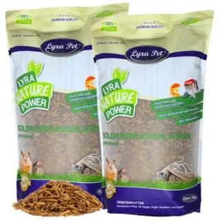 Lyra Pet Soldatenfliegenlarven 10 kg
