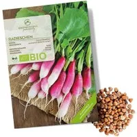 Growgreens Gemüsesamen BIO Radieschen Samen (French Breakfast) - Radieschen Saatgut (75 Korn), Radieschen