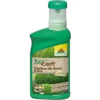 Neudorff Pflanzenstärkungsmittel BioKraft Vitalkur für Buxus & Ilex 300ml, Einzelprodukt, Schnelle Wirkung, stärkt pflanzeneigene Widerstandskraft