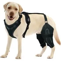 Ledander Stützbandage Hunde-Kniebandage für gerissenes ACL/CCL Hinterbein, verstellbare, Luxuriöse Kniescheibenbandage mit rutschfester Unterstützung