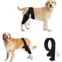 LIANNA Knieschleifer Verstellbare Hundekniestütze bei Kreuzbandriss mit Klettverschluss (Set, 1-tlg., Kniebandage für Hunde, verstellbare Kniestütze bei Kreuzbandriss), Kniebandage für Hunde, verstellbare Stütze bei Kreuzbandverletzung