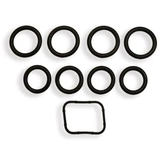 Elring Ansaugkr?mmerdichtungssatz Citroen Fiat Ford Mini Peugeot Suzuki Volvo