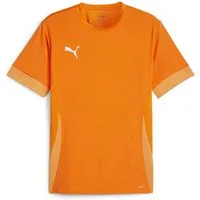 PUMA Fußballtrikot Puma Kinder Trikot teamGOAL Matchday Jersey jr 705748