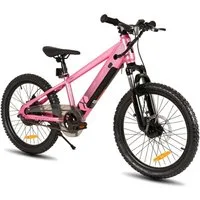 HILAND E-Bike 20 Zoll E-Mountainbike 24V 250W, Akku entnehmbar, Kinder & Erwachsene, Heckmotor, 124,8 Wh