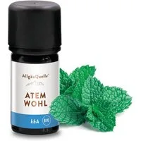 Allgäuquelle Duftöl ATEMWOHL Duftmischung, 5ml, BIO ätherische Öle (1 x 5ml), aus Eukalyptus, Salbei, Minze und Cajeput
