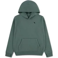 Abercrombie Kids Kapuzensweatshirt AFB ESSENTIALS FLEECE HO mit Logo-Stickerei, for boys