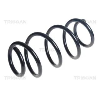 Triscan Feder vorne Citroen Jumpy Peugeot Expert 875028309