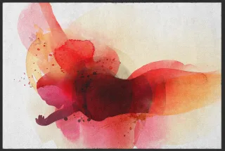 Fussmatte 10206 | Größe: 60 cm x 45 cm