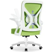 Hiazurm Bürostuhl Bürostuhl,Chefsessel aus Mesh,Ergonomischer Schreibtischstuhl (Verstellbarer Armlehnen, Lendenwirbelstütze,Drehstuhl Wippfunktion,Atmungsaktiv), Verlängerte und Verbreiterte Rückenlehne, Bis 155 kg,Schwarz