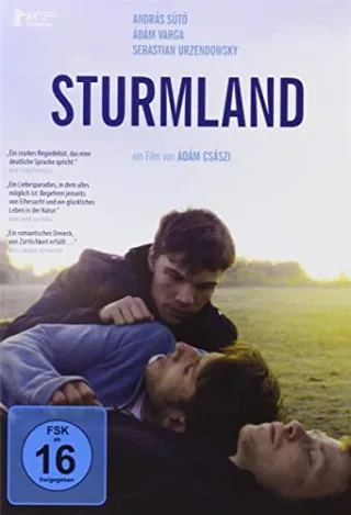 Sturmland  (OmU) [DVD] [2014]