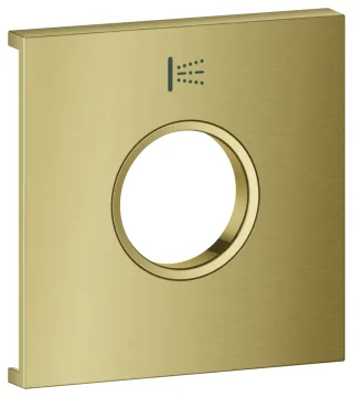 GROHE Metallplatte Grohtherm Aqua Tiles 107171, Symbol: Seitenbrause cool sunrise geb., 107171GN00 107171GN00