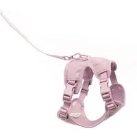 LucyBalu Katzen-Halsband EXPLORER Katzengeschirr mit Leine