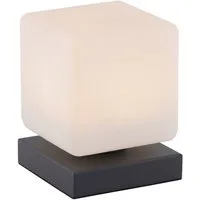 Paul Neuhaus Tischleuchte DADOA, LED fest integriert, Warmweiß, LED, dimmbar über Touchdimmer