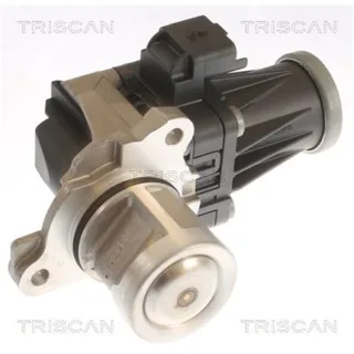 Triscan AGR-Ventil Citroen Ford Peugeot Volvo
