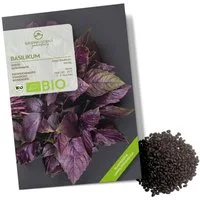 Growgreens Kräutersamen BIO Basilikum Samen Rot - Küchenkräuter Saatgut bio. Anbau (400 Korn)