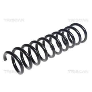 Triscan Feder hinten Ford Kuga 1 2,5 4X4