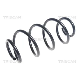 Triscan Feder hinten Mercedes A-Klasse W176 875023185