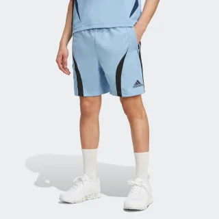 adidas Originals Shorts "TEAMGEIST ADICOLOR" aus weichem Doppelstrick, Obermaterial aus Polyester