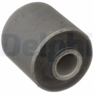 Delphi Stabilisatorlager hinten Kia Carnival 3 TD1661W