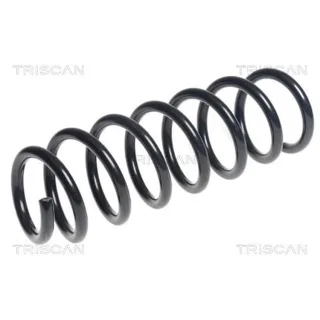 Triscan Feder hinten BMW X3 X4 875011222