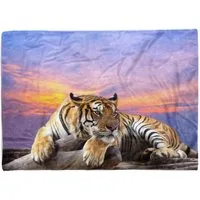 Handtücher Handtuch Strandhandtuch Saunatuch Kuscheldecke mit Tiermotiv Tiger Natur Abendr, Baumwolle-Polyester-Mix (1-St), Handtuch