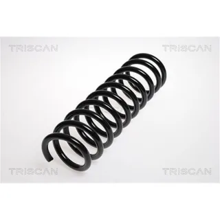Triscan Feder hinten Ford Focus 2 875016045
