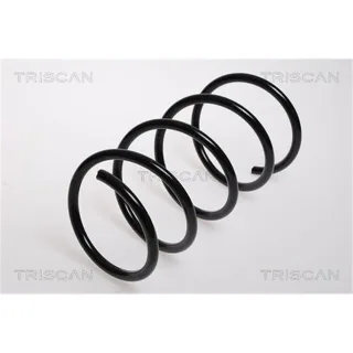 Triscan Feder vorne Renault Twingo 1 87502555