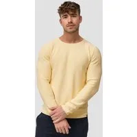 Indicode Strickpullover Herren Loakim Pullover Herrenpullover aus elastischer Baumwoll-Qualität, Rundhalsausschnitt