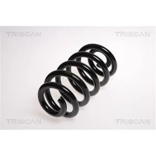 Triscan Feder hinten Audi A6 C6 875029190