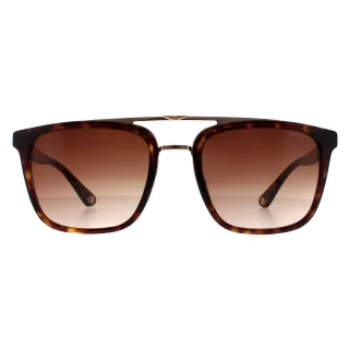 Police Square Herren Havanna und Gold Braun Gradient SPLB41 Origins 35