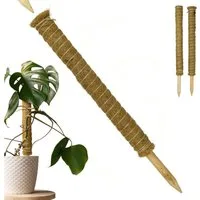 Gravidus Rankhilfe Erweiterbare Pflanzenstütze mit Kokosfilz – Rankhilfe 60 cm, 2 St.