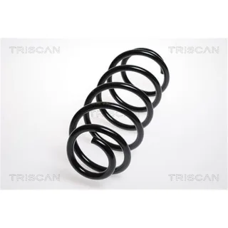 Triscan Feder vorne Peugeot 407 2,2