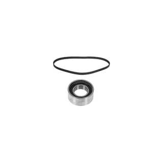 Febi Zahnriemensatz Citroen Fiat Lancia Peugeot 11072
