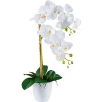 Kunstorchidee Orchidee Phalaenopsis, Creativ green, Höhe 56 cm, mit real-touch-Blüten