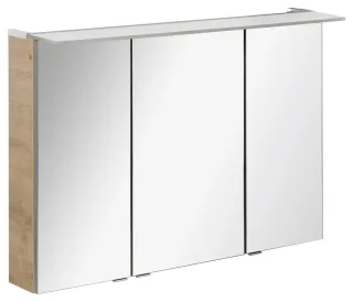Fackelmann Spiegelschrank B.perfekt 100x69,5x23,5,AstEi,3T,Box, 84122 84122
