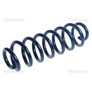 Triscan Feder hinten Skoda Kodiaq VW Tiguan 875029517