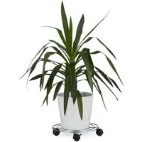 relaxdays Blumentopfuntersetzer Pflanzenroller mit Bremse