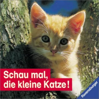Schau mal die kleine Katze!