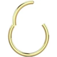 viva-adorno Nasenpiercing Segmentring Clicker Chirurgenstahl Piercing Ring Nasenring Septum, Segment Ring mit Scharnier Lippe Helix Ohrpiercing Septumring
