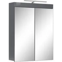 welltime Spiegelschrank Avena Spiegelschrank wahlweise mit Beleuchtung - (B/T/H) 60/17/77 cm