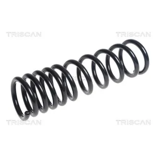 Triscan Feder hinten Ford Focus 3 875016115