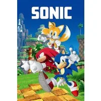 Wohndecke Fleece-Decke 100x150 cm Kuscheldecke aus 100 % Polyester, Sonic SEGA