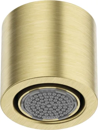 Neuesbad Serie 600 Kopfbrause 1 Strahlart, Oberfläche: gold gebürstet NB1NQS_R30K1
