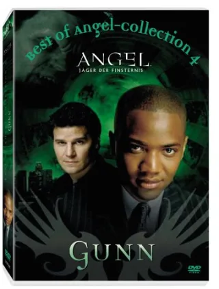 Angel - Best of Gunn