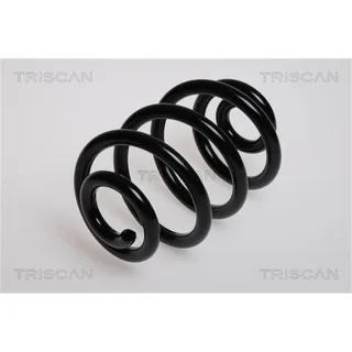 Triscan Feder hinten BMW 3er E46 87501140