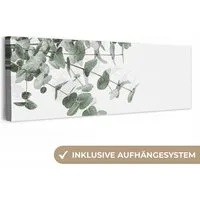 OneMillionCanvasses® Leinwandbild Panorama Eukalyptus - Blätter - Natur - Grün, Fotodruck (1 St), Wandbild, Deko Schlafzimmer Wohnzimmer Flur 60x20 cm