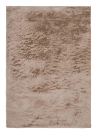 Braun