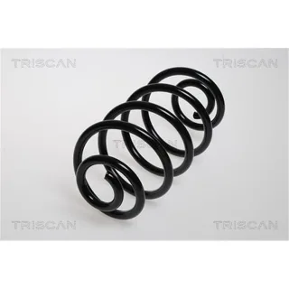Triscan Feder hinten Opel Meriva A